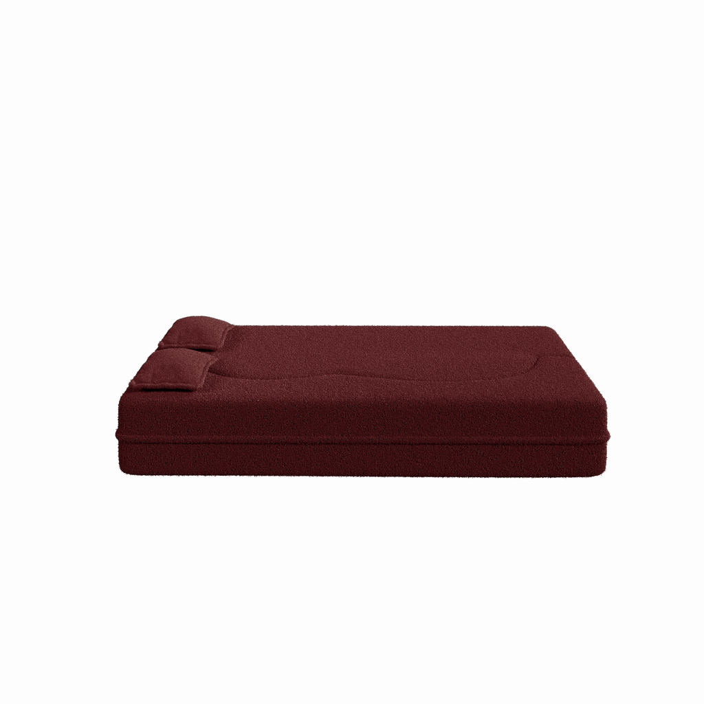 Modern Floor Sofa with 2 Pillows