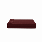 Modern Floor Sofa with 2 Pillows