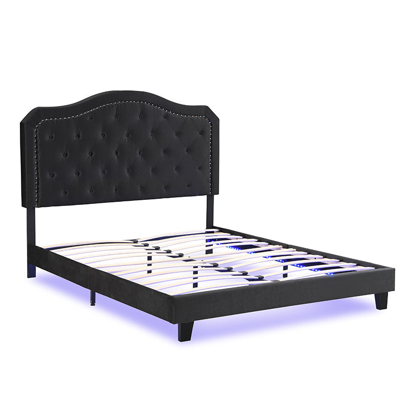 Queen Upholstered Bed Button Tufted with Curve Design