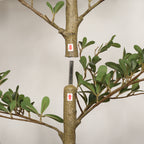 7FT Artificial Tree