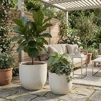 Round Concrete Planter Set of 2