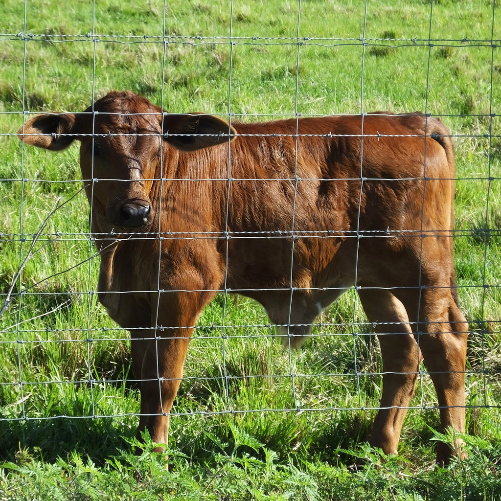 5x164 ft Advanced Weave Farm Enclosures