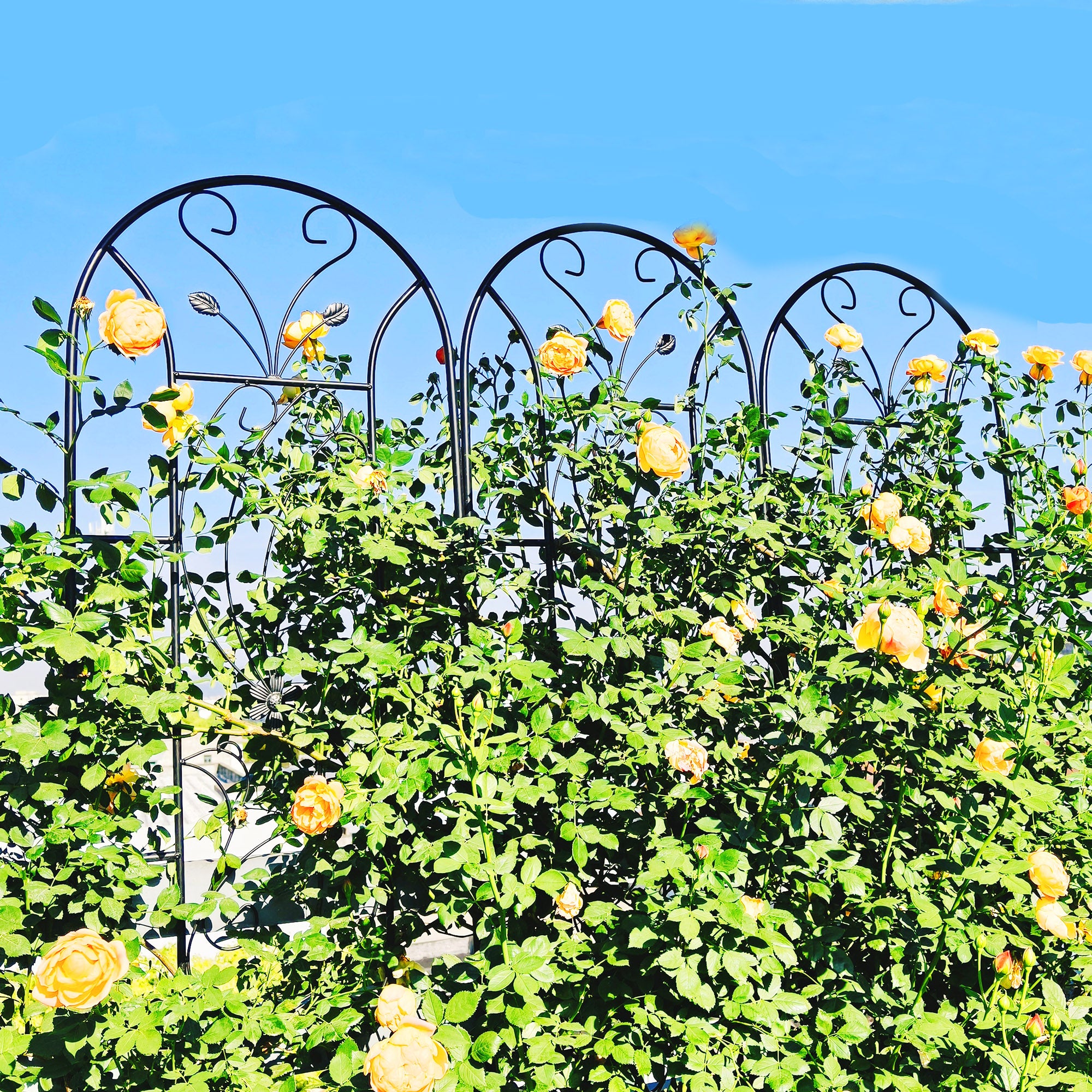 2 Pack Metal Garden Trellis