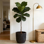 Large Round Planters Set of 2