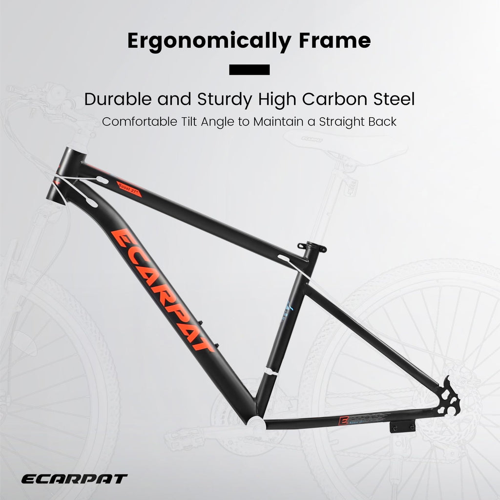 24 Inch Mountain Bike for Teenagers
