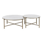 Zaidee Marble Top & Nickel Finish Nesting Table Set