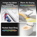 Luxury Intelligent Toilet