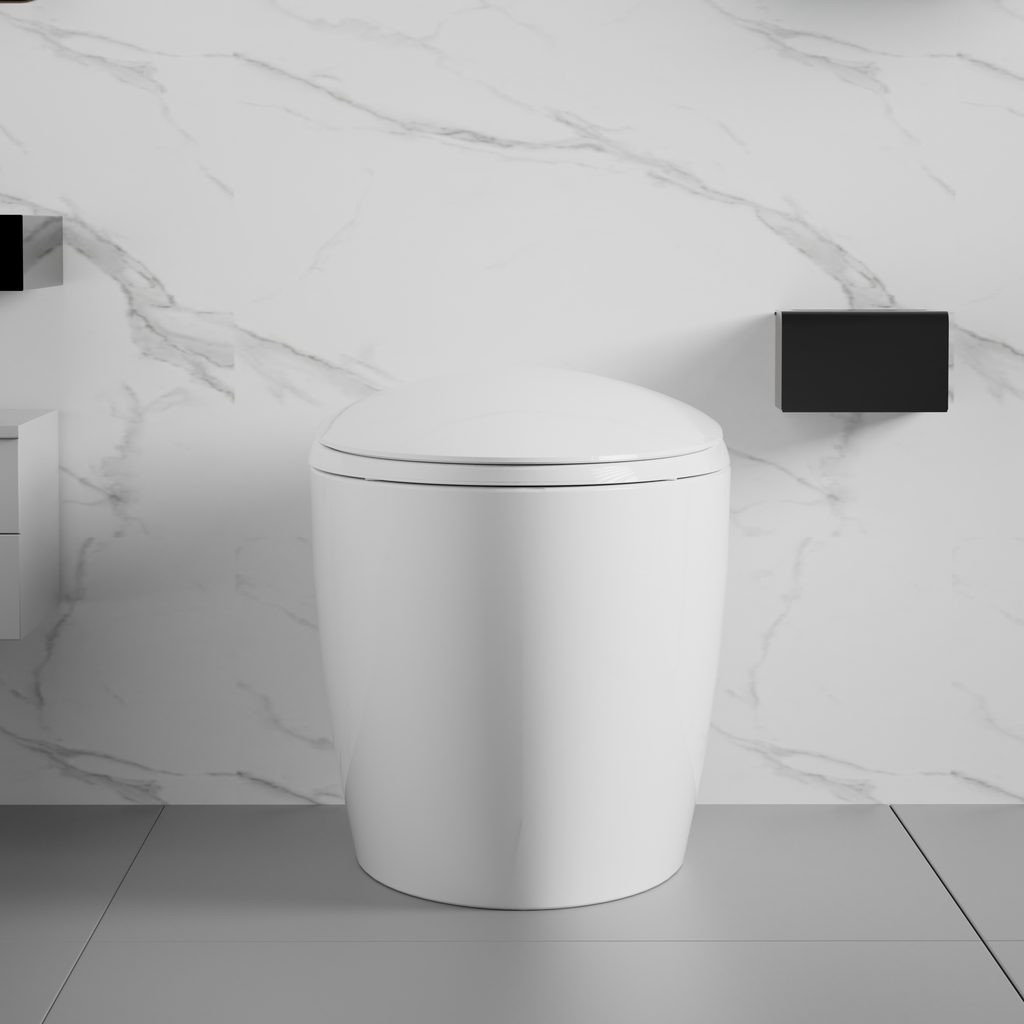 Unique Smart Toilet with Built-In Bidet