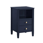 Winston 2-Drawer Storage Nightstand