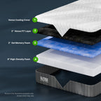 Venus Williams Collection - Legend 12" Foam Mattress - Queen