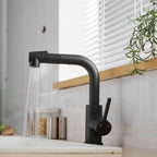Sink Faucet