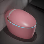 Unique Smart Toilet with Bidet Built In