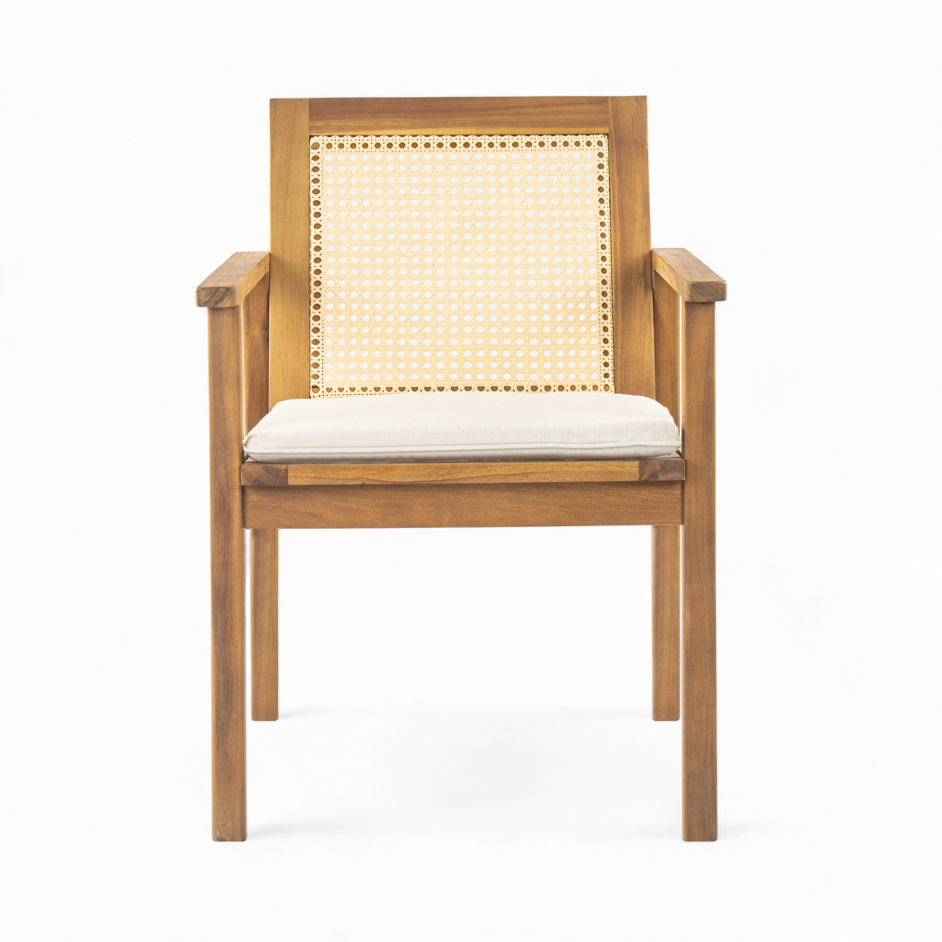 Preston Outdoor Dining Chair with Cushion (Set of 2)