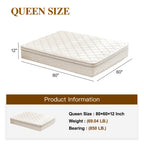 12 Inch Hybrid Queen Mattress in a Box