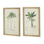 Set of 2 Tree Framed Prints
