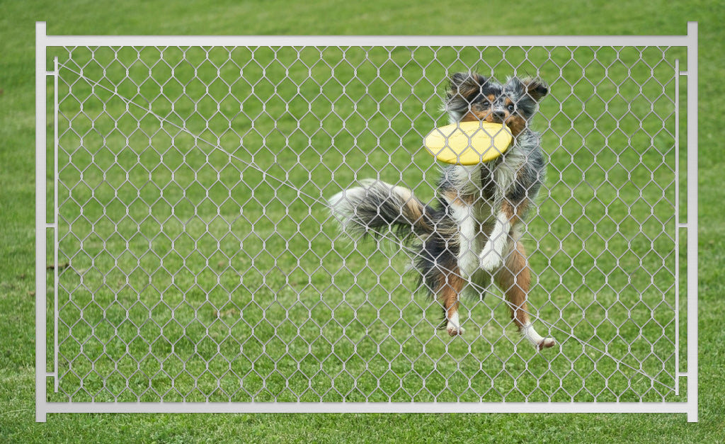 Adjustable 3.8FT Chain Link Walk Gate Kit