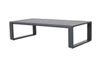 Double Sofa + Rectangular Coffee Table Set