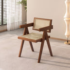 Modern Mid Century Dining Chairs Set of 2