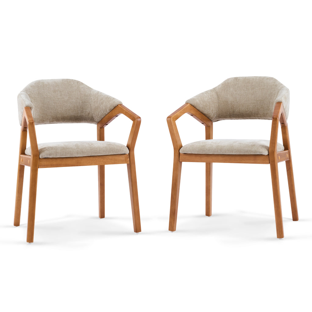 Indoor Dining Chair Set of 2