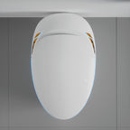 Unique Smart Toilet with Built-In Bidet