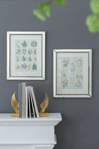 S/2 Liana Mirror Framed Wall Art