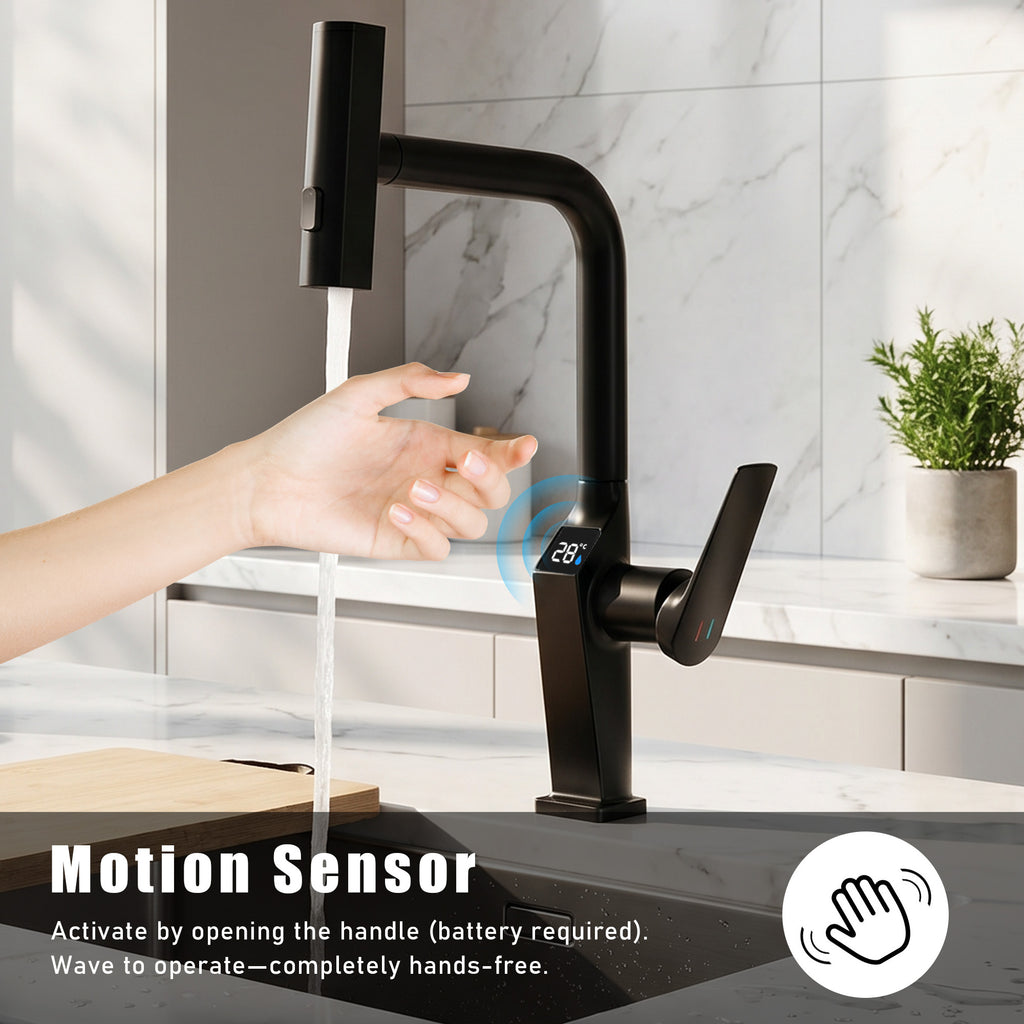 Touchless Matte Kitchen Faucet