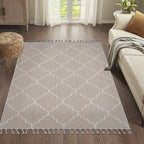 Guros Collection 7.9X10 Rug