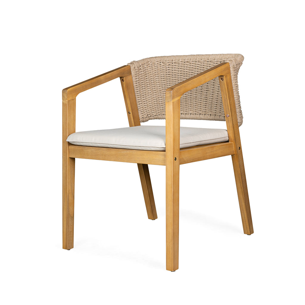 Dining Chair Set of 2
