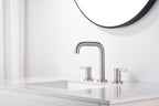 Bathroom Faucet For Bathroom Sink With Two Handles