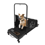 Dog Treadmill for Medium Dogs - Dog Pacer Treadmill