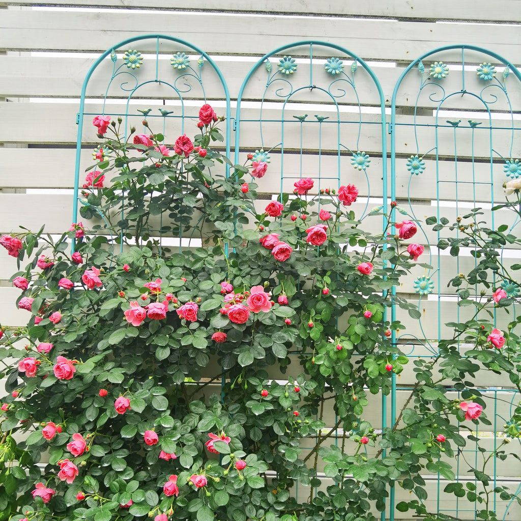 2 Pack Metal Garden Trellis 86.7" x 19.7"