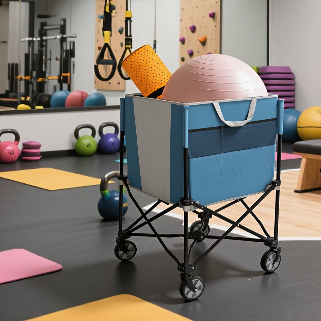 Rolling Ball Storage Cart with Wheels, Blue/Gray