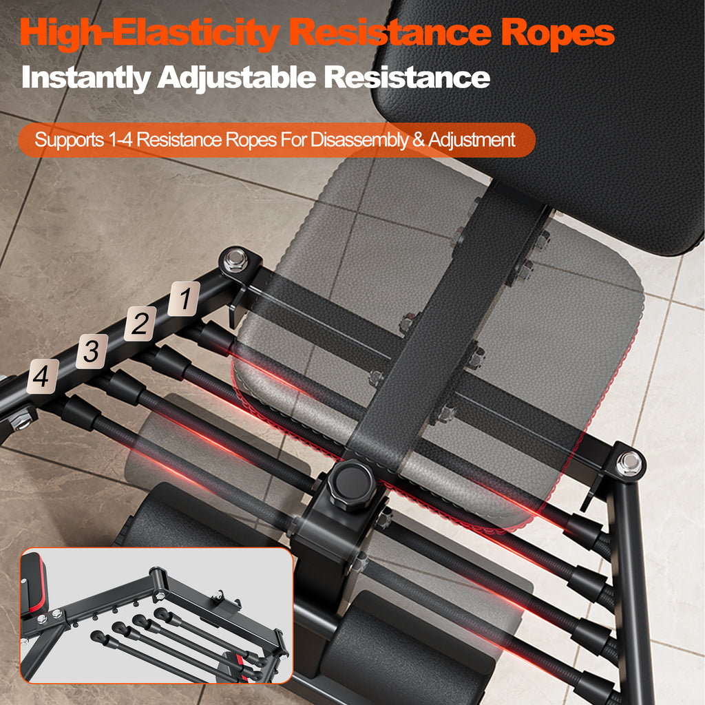 2-in-1 Weight Bench for Home Gym