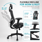 Ergonomic Office Chair