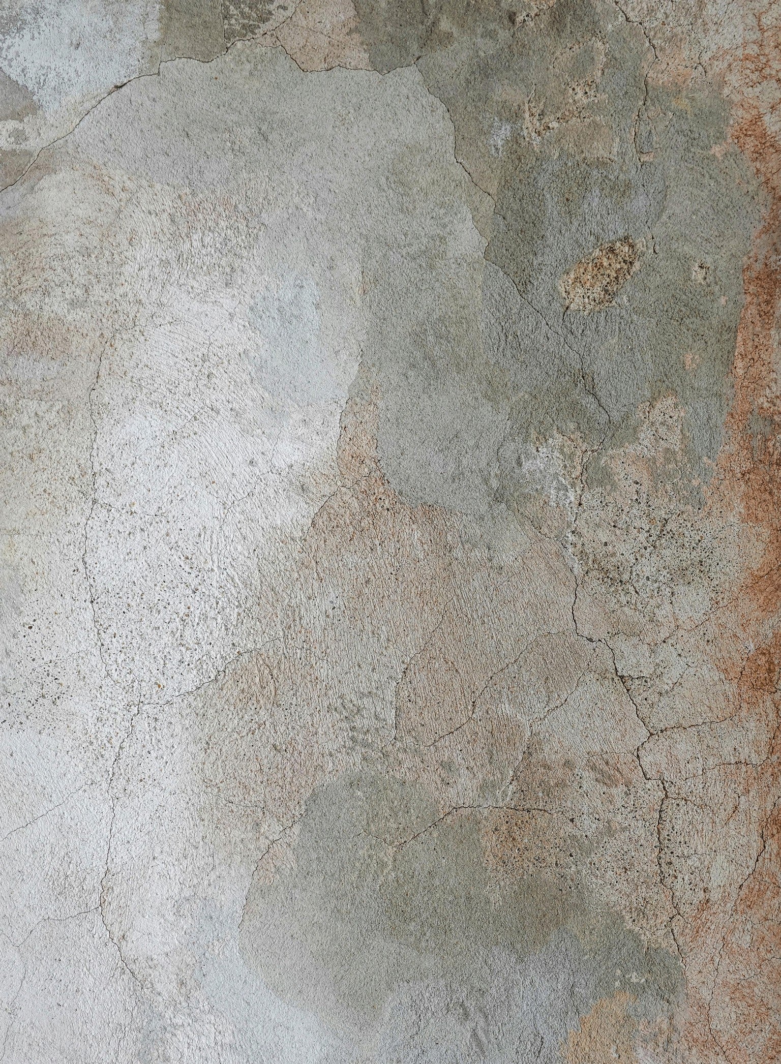 Artistic GC_TRE8018 Area Rug