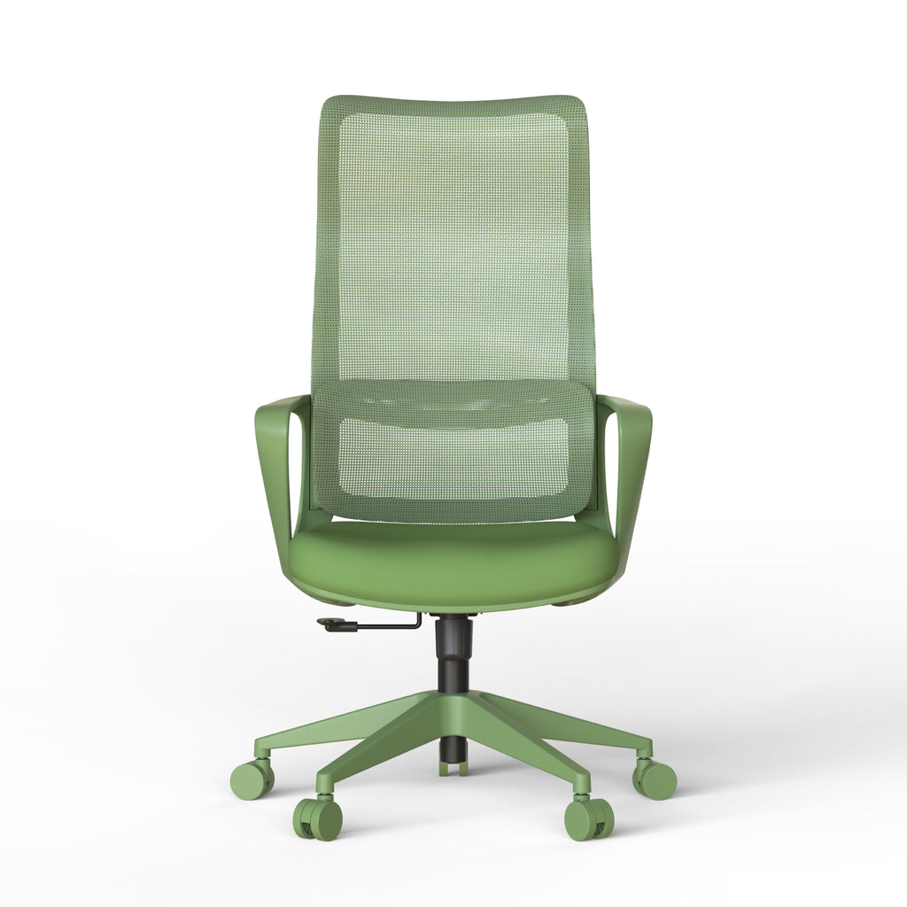Ergonomic Colorful Office Chair