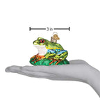 Red-eyed Tree Frog Ornament