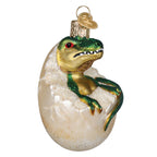 Baby Dino In Egg Ornament