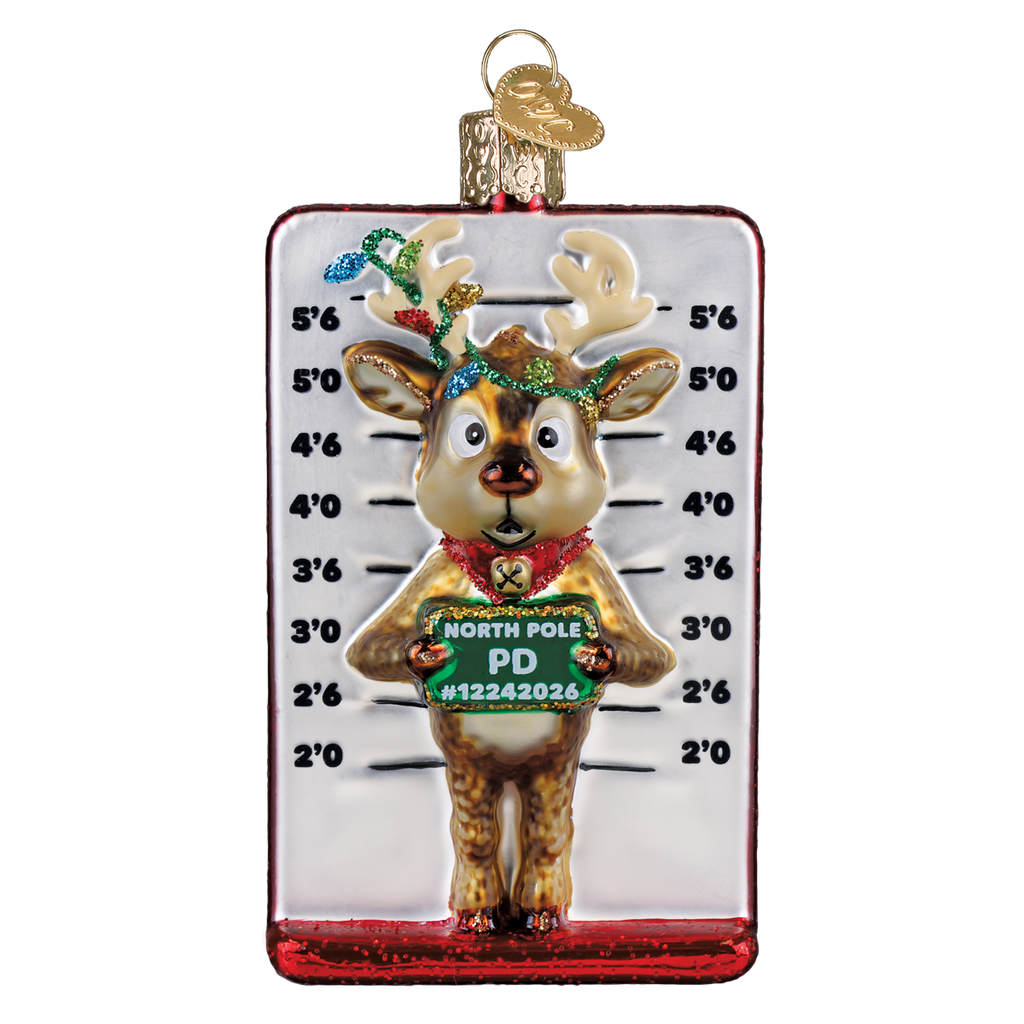 Reindeer Mugshot Ornament