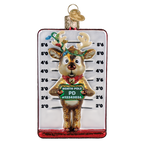 Reindeer Mugshot Ornament
