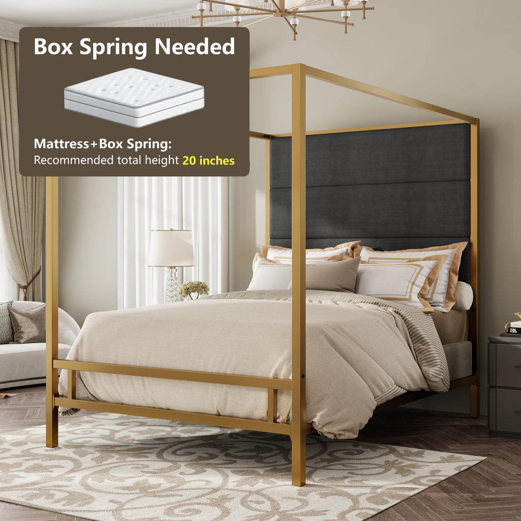 Gold Metal Canopy Bed