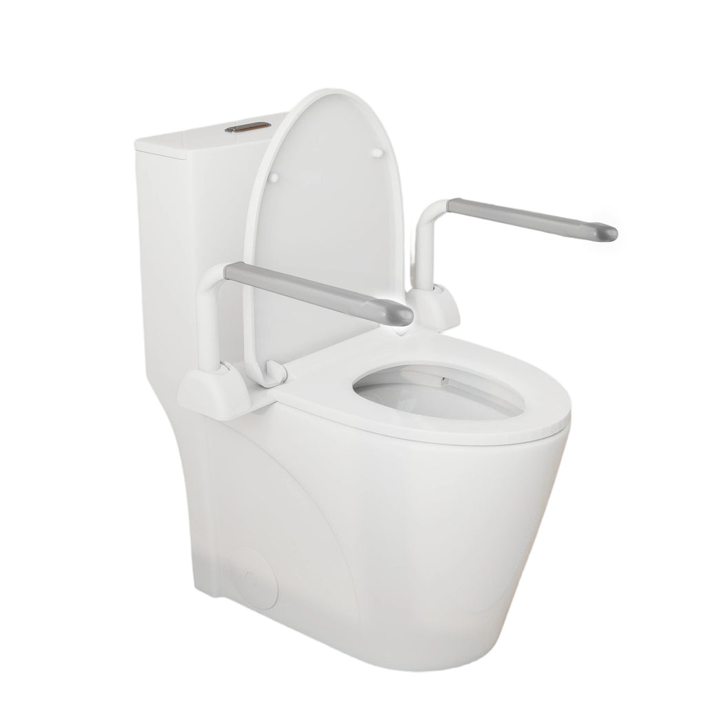 Upgraded Design Armrest One-Piece Toilet