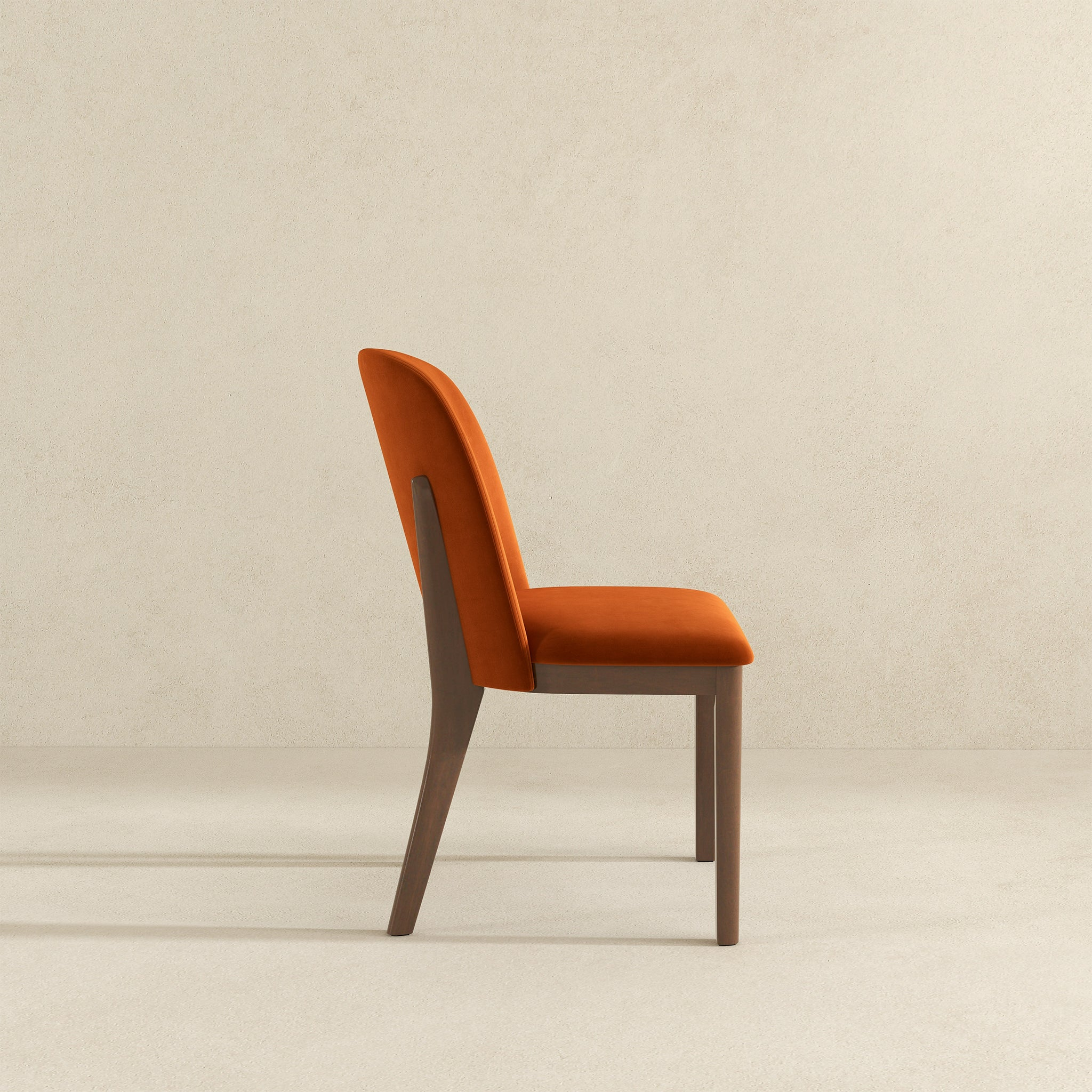 Kaitlyn Burnt Velvet Dining Chairs - Set of 2