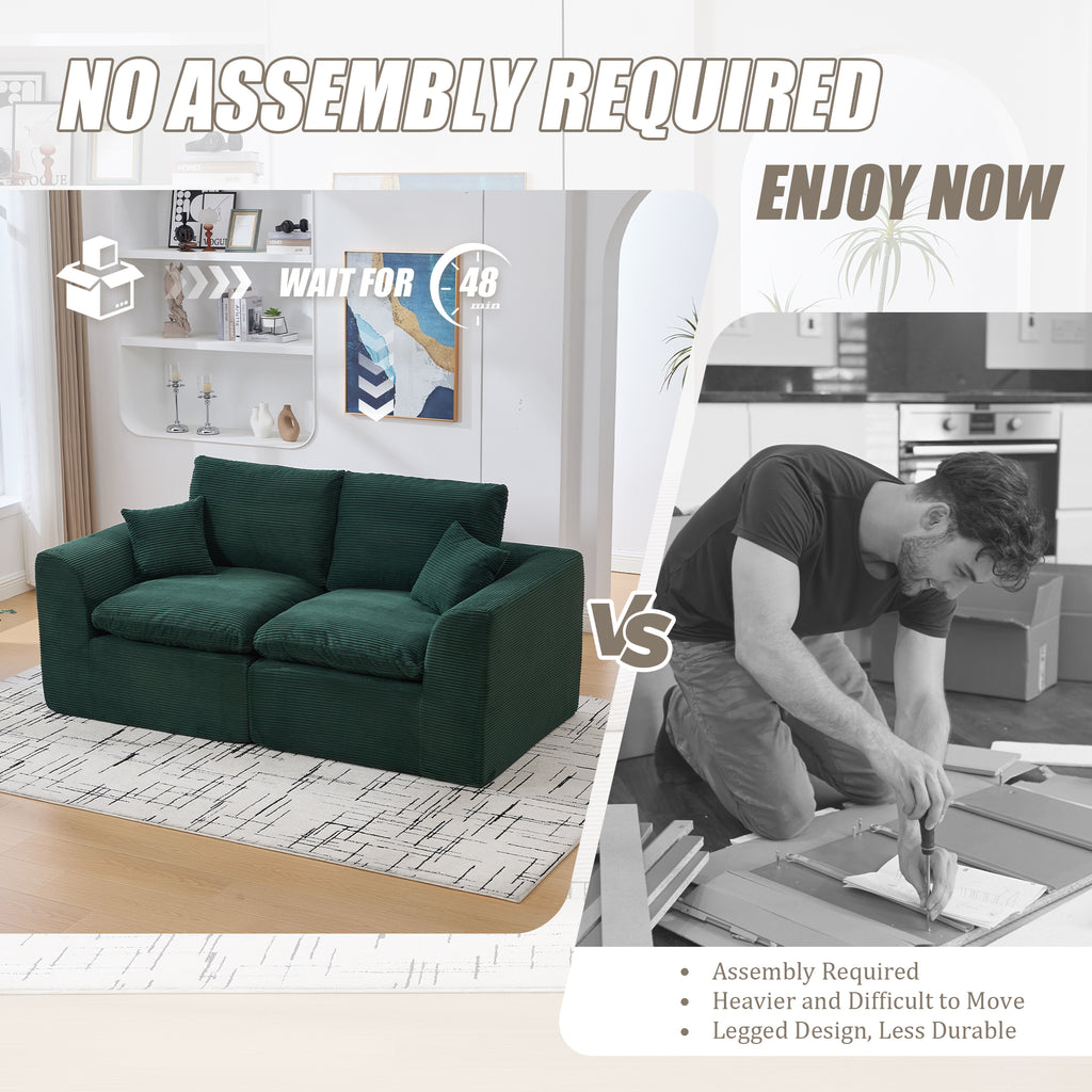 United We Win Modular Sectional Sofa - Comfy Cloud 2 Seater