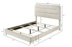 Plush Upholstered Design 1pc Queen Size Panel Bed