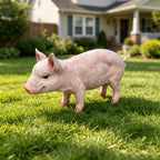 Lifelike Beige Pig Garden Statue