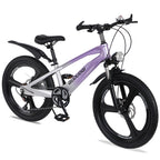 FKZNPJ 20 Inch Kids Mountain Bike, 7-Speed Youth Bicycle