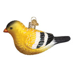 Hanging American Goldfinch