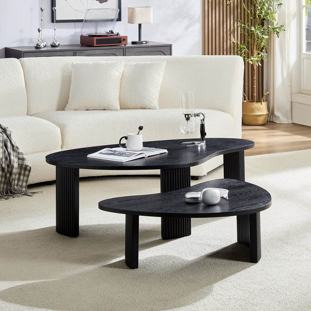 2-Piece Modern Irregular Shape Coffee Table Set