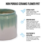 Handmade Ceramic Planter Set of 2